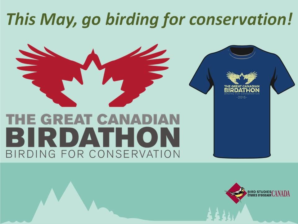 join bird studies canada for the 2015 great canadian join bird studies canada for the 2015 great canadian